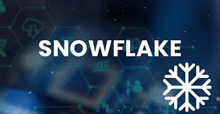 SNOW FLAKE 01